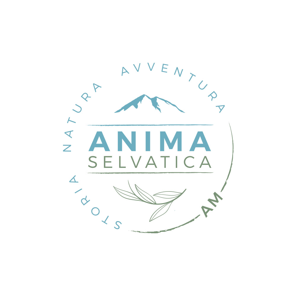 Anima Selvatica Studio Logo